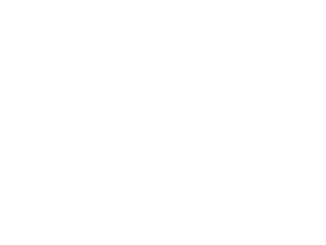 Discovery A&E